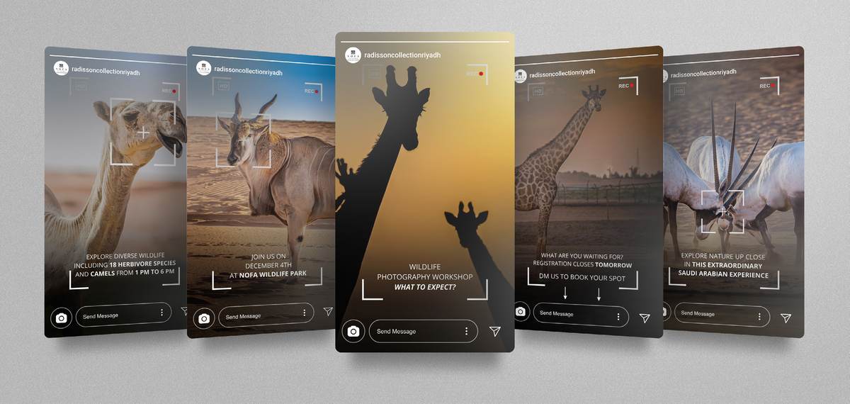 Five Instagram story frames for Nofa Riyadh, a Radisson Collection resort in Saudi Arabia, fanned in perspective: a camel, a gazelle, a giraffe silhouette, an oryx, and a photography workshop promotion.